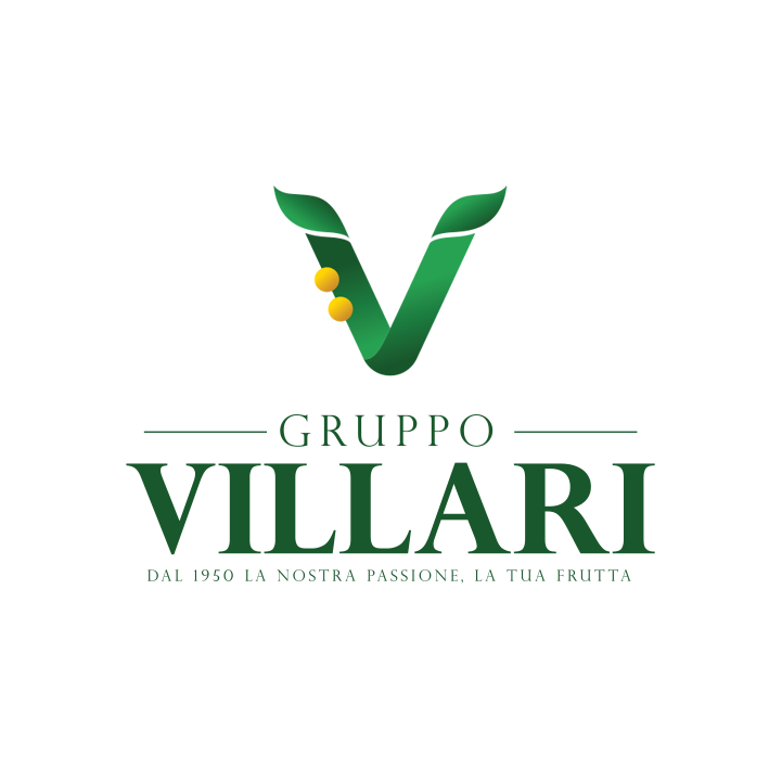 Gruppo Villari logo