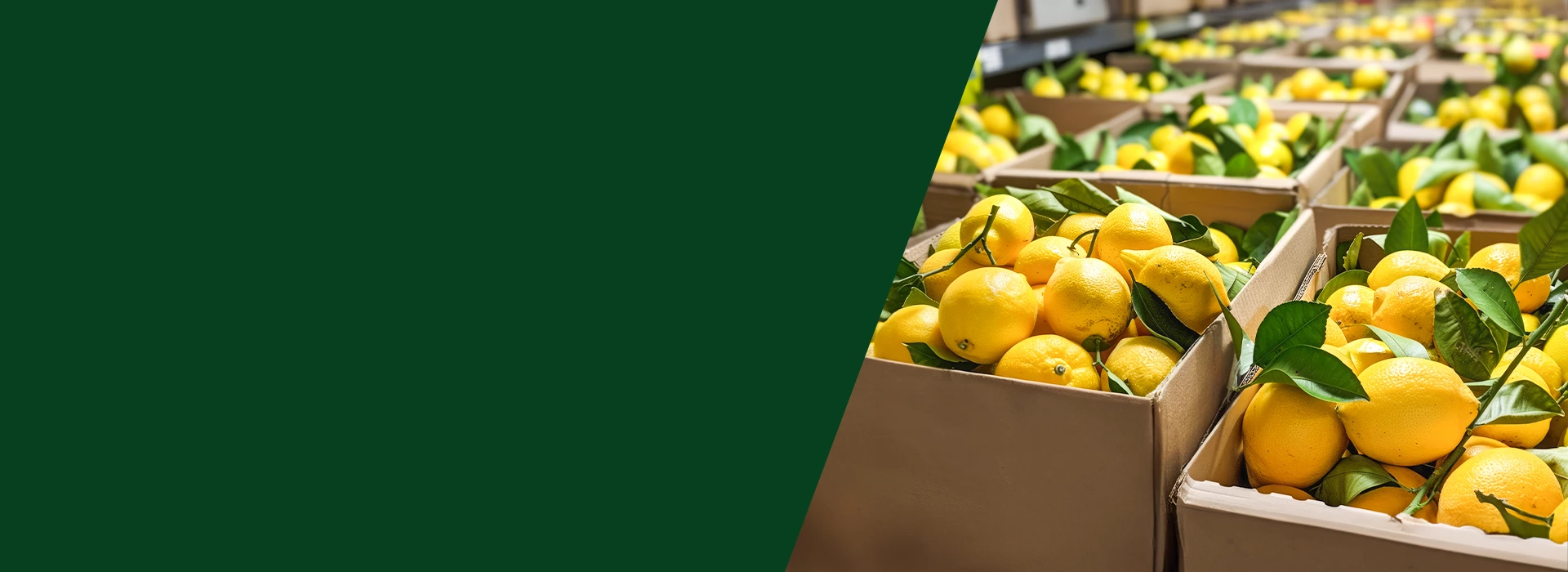 Succo 1LT Lumì banner